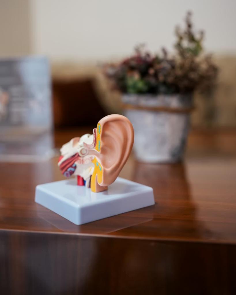 ZenCortex liquid formula bottle for hearing health and mental clarity